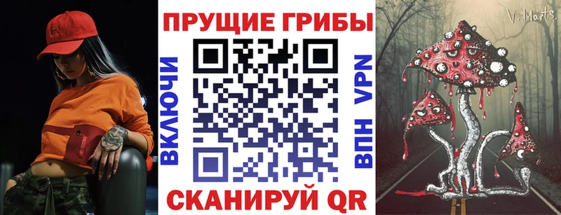 дарнет шоп  Омутнинск  Галлюциногенные грибы Cubensis 