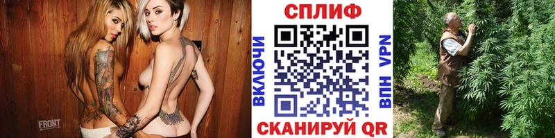 Конопля сатива  где купить   Омутнинск 